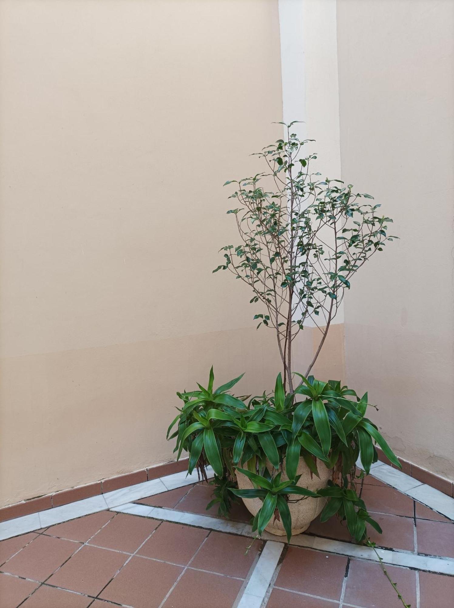 Apartamento De Lux Sevilla Este 外观 照片